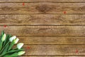 Tulips on wooden background with space for message. Mother`s Day background. Flowers on rustic table for March 8 Royalty Free Stock Photo