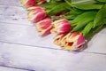 Tulips on a wooden surface. Beautiful natural background Royalty Free Stock Photo