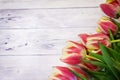 Tulips on a wooden surface. Beautiful natural background Royalty Free Stock Photo