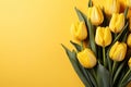 tulips on yellow background, copy space Card for Mothers day, 8 March, Happy Easter. Waiting for spring Royalty Free Stock Photo