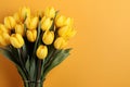 tulips on yellow background, copy space Card for Mothers day, 8 March, Happy Easter. Waiting for spring Royalty Free Stock Photo