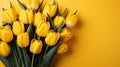 tulips on yellow background, copy space Card for Mothers day, 8 March, Happy Easter. Waiting for spring Royalty Free Stock Photo