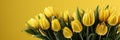 tulips on yellow background, copy space Card for Mothers day, 8 March, Happy Easter. Waiting for spring Royalty Free Stock Photo