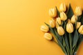 tulips on yellow background, copy space Card for Mothers day, 8 March, Happy Easter. Waiting for spring Royalty Free Stock Photo