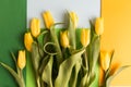 Tulips are yellow on a colored background of blue, green, yellow paper