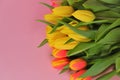 Tulips. Yellow and red tulips bouquet on a pink background.Bouquet of tulips. Bouquet of spring flowers. Spring floral Royalty Free Stock Photo