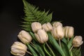 White tulips with large leaves and a large green fern leaf on a black background
