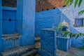 Tulsi or Holy Basil plants in a pot on a small shrine painted indigo limewashed next to water well