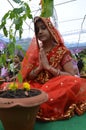 Tulsi worship in Bhopal Royalty Free Stock Photo