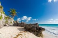 Tulum beach, Mexico Royalty Free Stock Photo