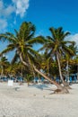 Tulum Beach at Penisula Yucatan in Mexico. Royalty Free Stock Photo