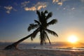 Tulum beach in Riviera Maya at Mayan Mexico. Royalty Free Stock Photo