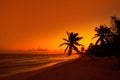 Tulum beach sunset palm tree Riviera Maya Royalty Free Stock Photo