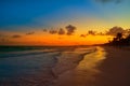 Tulum beach sunset palm tree Riviera Maya Royalty Free Stock Photo