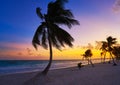 Tulum beach sunset palm tree Riviera Maya Royalty Free Stock Photo