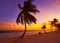 Tulum beach sunset palm tree Riviera Maya Royalty Free Stock Photo