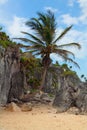 Tulum Beach Yucatan Mexico Royalty Free Stock Photo