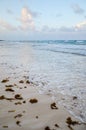 Tulum beach, Yucatan, Mexico Royalty Free Stock Photo