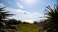 Tulum: Beautiful view of the Ocean Royalty Free Stock Photo