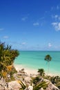 Tulum mayan riviera tropical beach palm trees Royalty Free Stock Photo