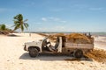 Truck loaded with Sargassum seaweed at Playa Paraiso.