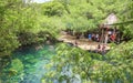 TULUM, MEXICO - Jul 29, 2019: A crowd swims at the tropical Cenote Cristalino