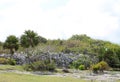 Tulum precolumbian ruins