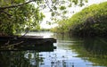 Cenote Encantado swimming area