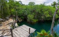 Cenote Jaguar jumping platform