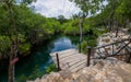 Cenote Jaguar swimming hole