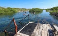Cenote and Yal-Ku Lagoon in Riviera Maya Royalty Free Stock Photo