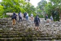 Coba Maya Ruins ancient buildings pyramids in tropical jungle Mexico