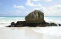 Tulum rock on beach