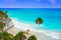 Tulum turquoise beach palm tree in Riviera Maya at Mayan Royalty Free Stock Photo