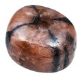 Tumbled Chiastolite Andalusite stone isolated Royalty Free Stock Photo