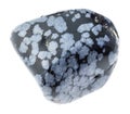 tumbled gray snowflake obsidian stone on white Royalty Free Stock Photo