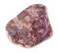 tumbled leopard skin jasper gem on white