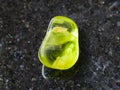 tumbled Peridot (olivine) gemstone on dark