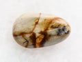 tumbled Picture jasper gemstone on white marble Royalty Free Stock Photo