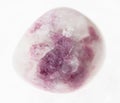 tumbled pink Sodalite gem stone on white Royalty Free Stock Photo