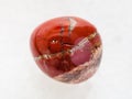 tumbled red Jasper gem stone on white Royalty Free Stock Photo