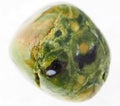 tumbled rhyolite ( rainforest jasper) gemstone