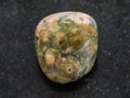 tumbled rhyolite rainforest jasper gemstone