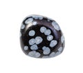 tumbled Snowflake Obsidian gem stone isolated Royalty Free Stock Photo