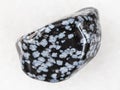 tumbled snowflake obsidian gem stone on white Royalty Free Stock Photo