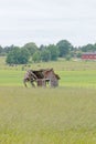 Tumbledown barn on a field Royalty Free Stock Photo