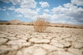 Tumbleweed in the desert Royalty Free Stock Photo