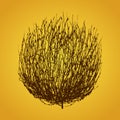 Tumbleweed drawing vector Royalty Free Stock Photo