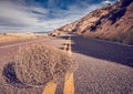 Tumbleweed on a road. Royalty Free Stock Photo