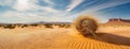 Tumbleweed rolling in desert sand dunes. Made of roofs of the plants. Symbol of desolation and empty expanses, unknown